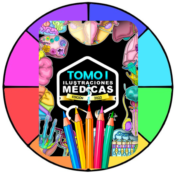 ILUSTRACIONES-MEDICAS-ESQUEMAS-PARA-ESTUDIAR-Y-COLOREAR