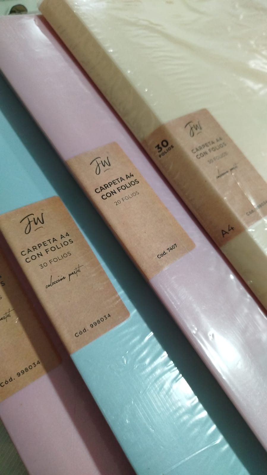 Carpeta con 30 Folio FW